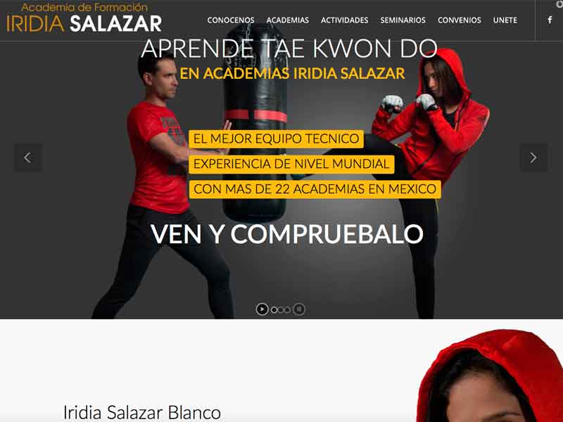 ACADEMIAS IRIDIA SALAZAR